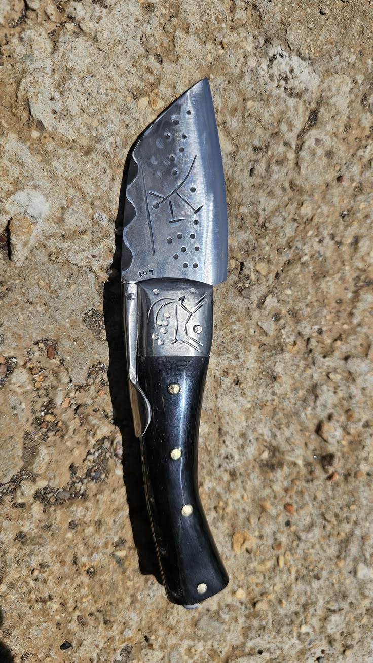 ASTUR DE BÚFALO